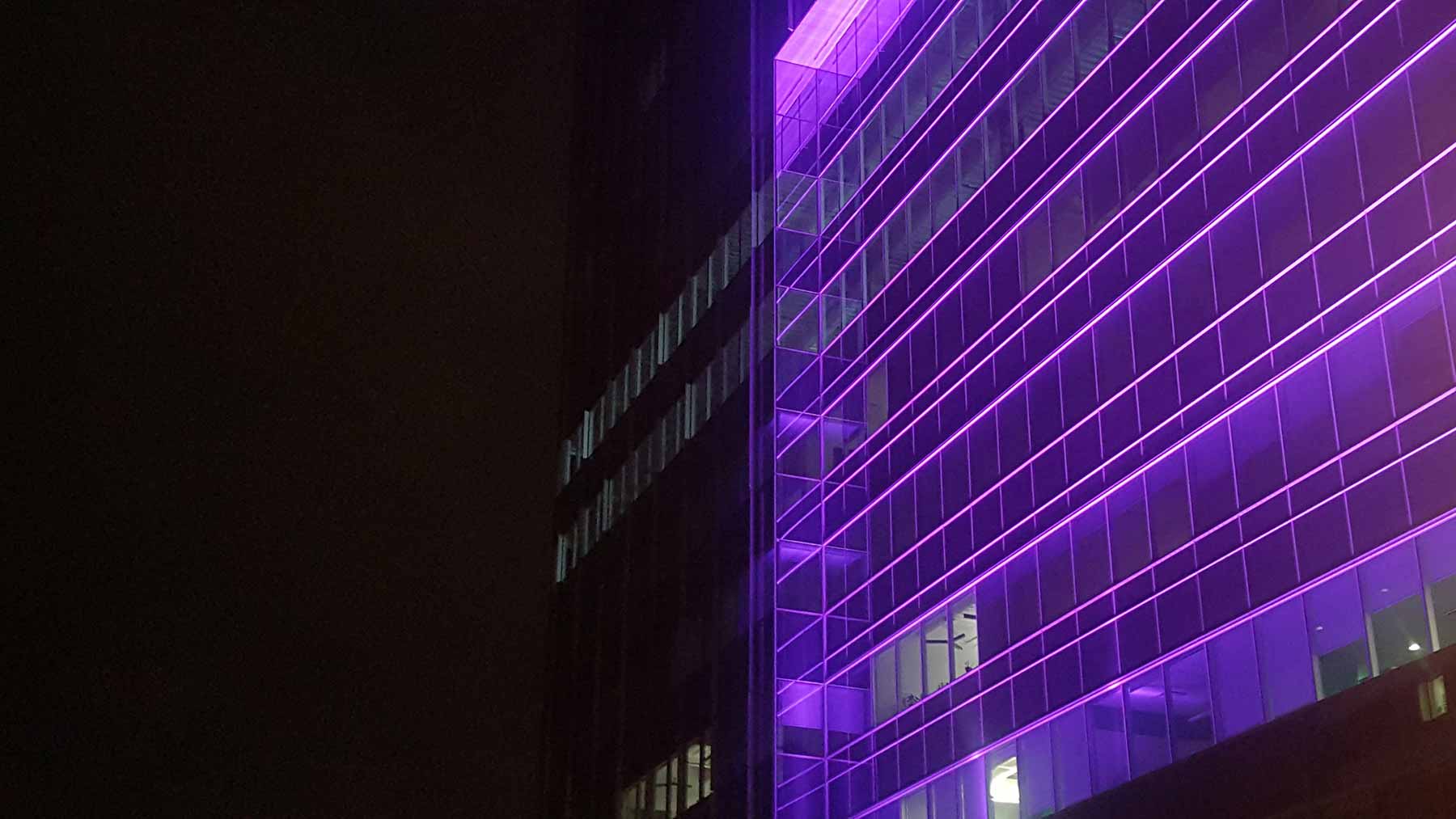 The lines of a building glow purple against a darkened sky