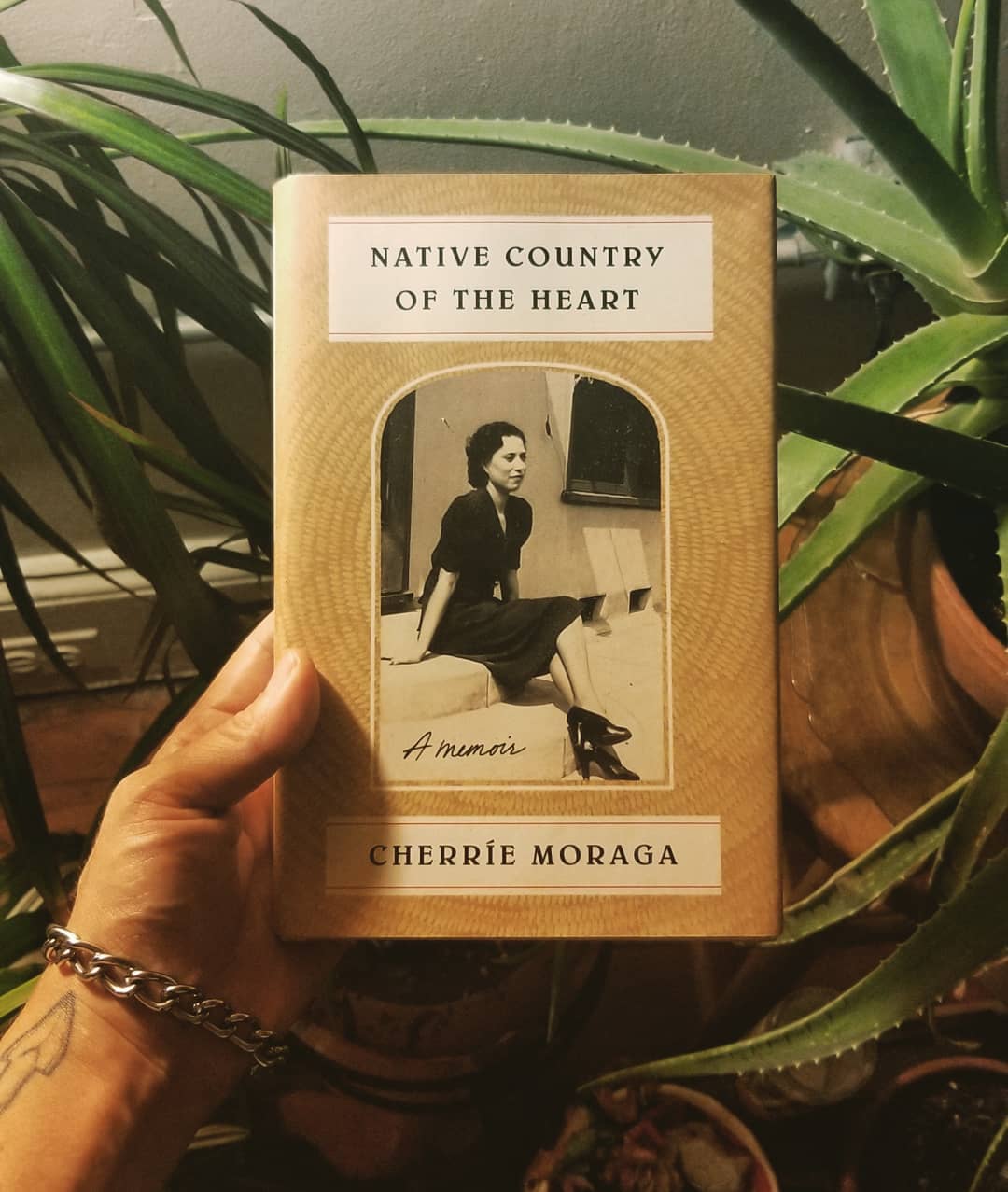 Monk Reviews Native Country of the Heart by Cherríe Moraga