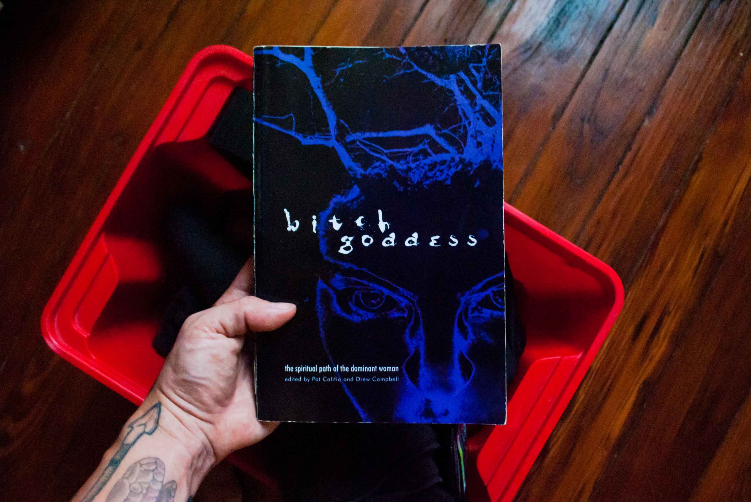 Monk Reviews Bitch Goddess edited by Patrick Califia and Drew Campbell