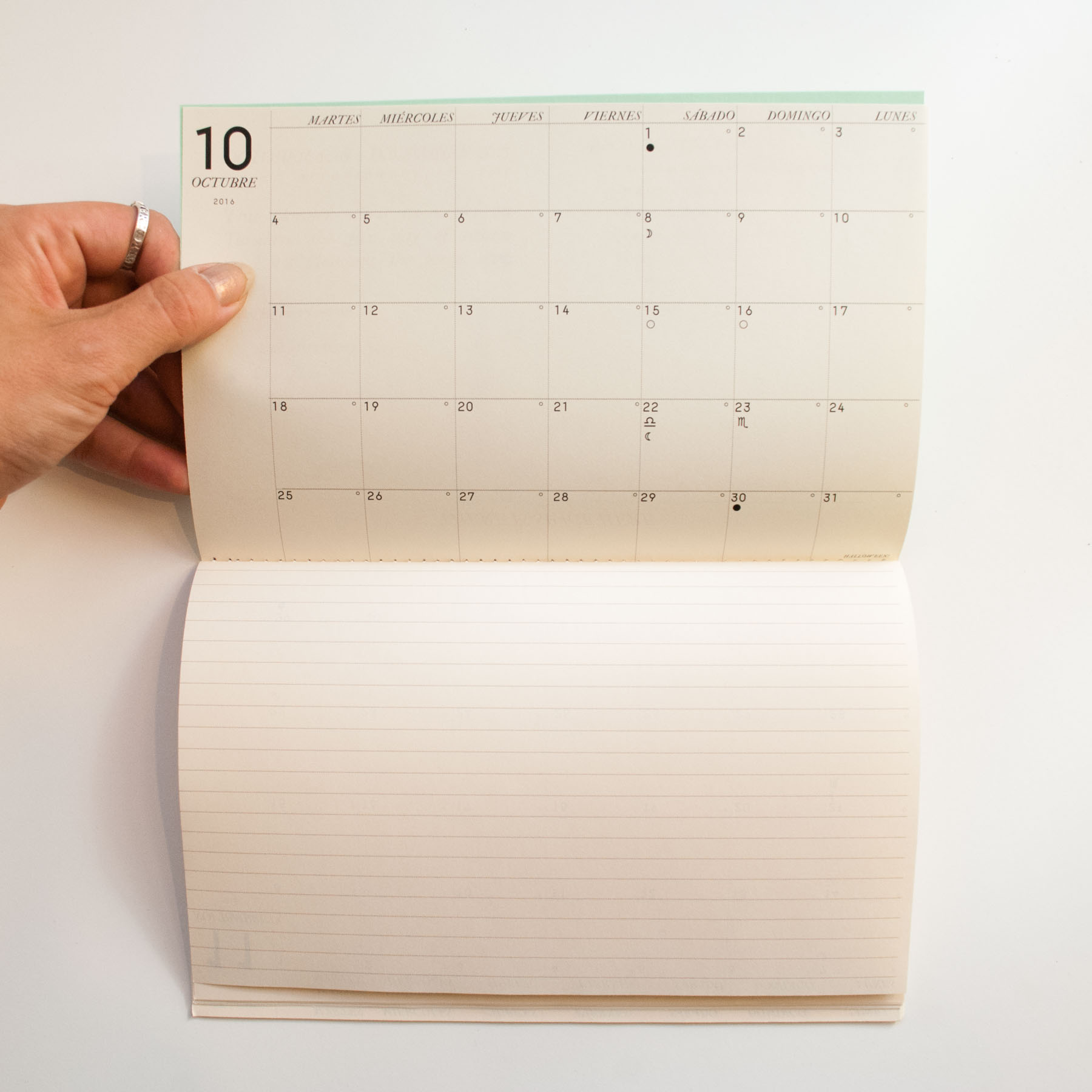 monthly layout view of planner