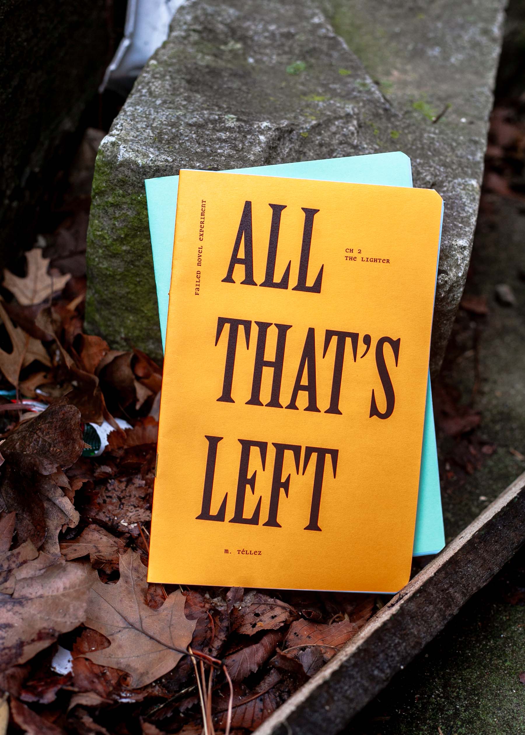 ALL THAT'S LEFT zines