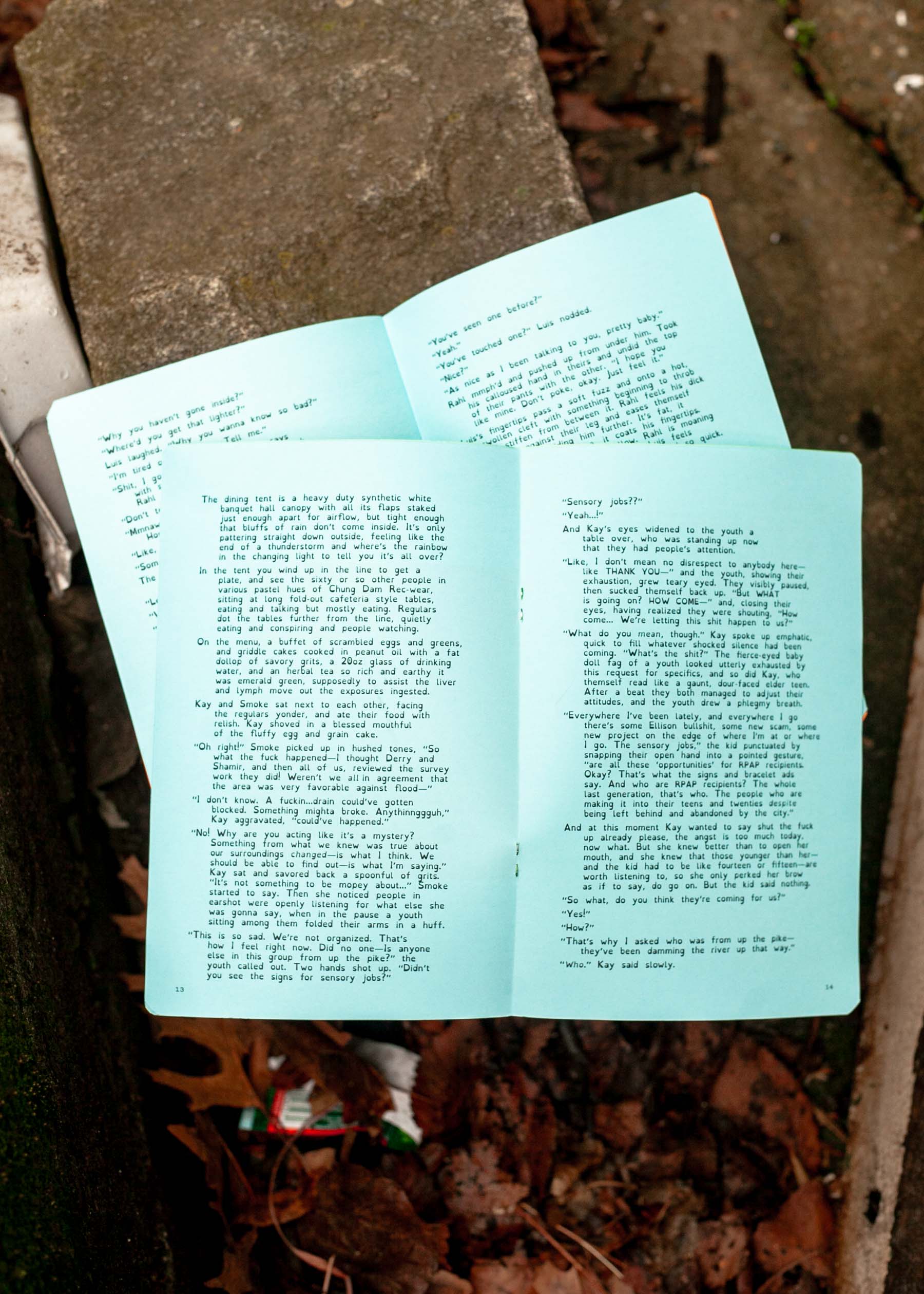 inside type ALL THAT'S LEFT zines