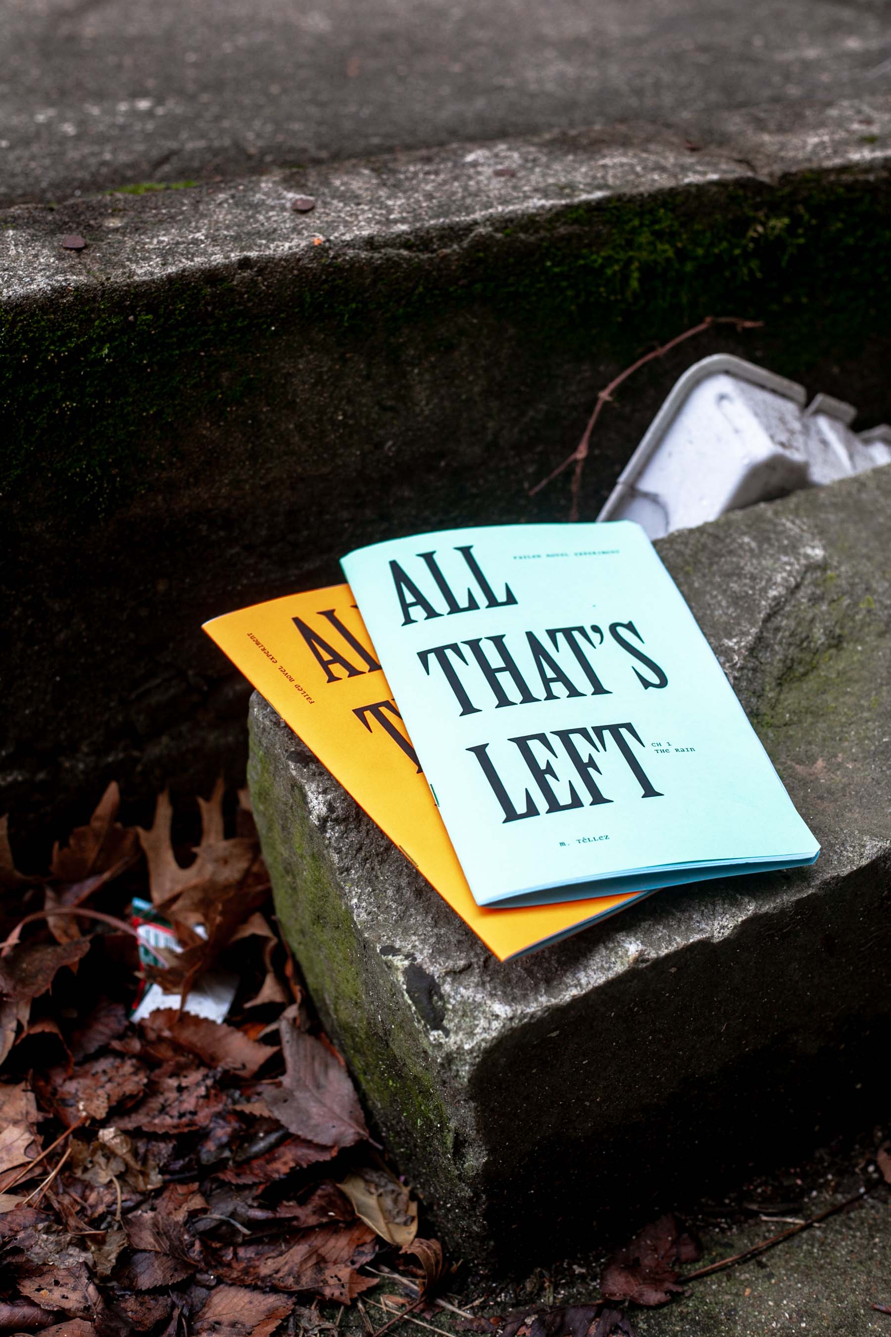 ALL THAT'S LEFT zines side view